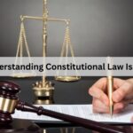 Understanding Constitutional Law Issues