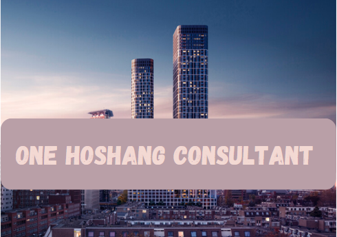 One Hoshang Consultant