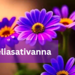 Rueliasativanna