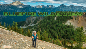 BlueFire Wilderness