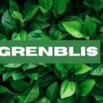 Grenblis