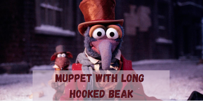 Muppet with Long Hooked Beak