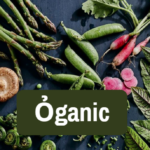 Ỏganic