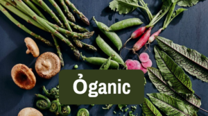 Ỏganic