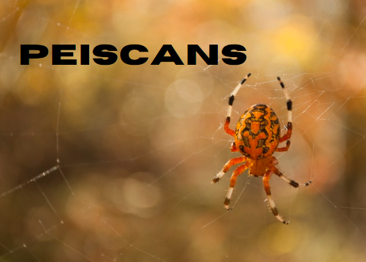 Peiscans