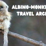 Albino-Monkey.net Travel Archives