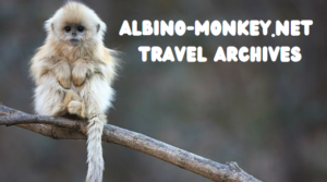 Albino-Monkey.net Travel Archives