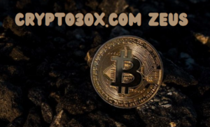 Crypto30x.com Zeus