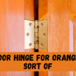 Door Hinge for Orange Sort of