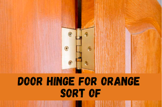 Door Hinge for Orange Sort of