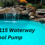 SGSMF115 Waterway Pool Pump