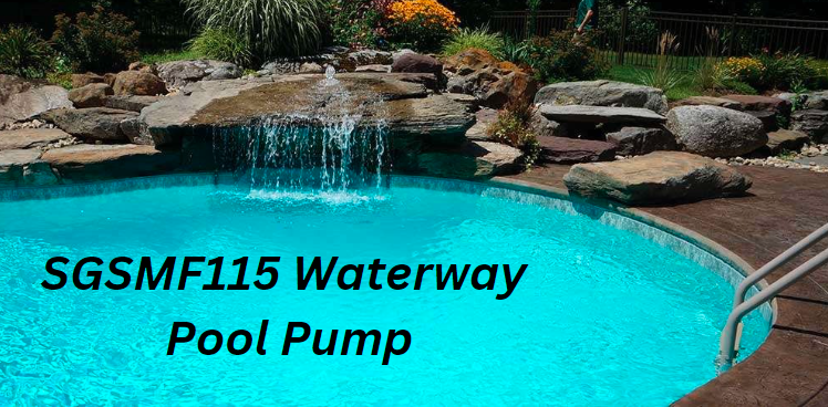 SGSMF115 Waterway Pool Pump