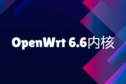 OpenWrt 6.6内核