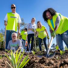 How Community Management Cultivates a Vibrant Neighborhood